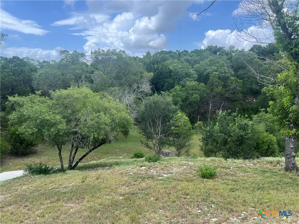 439 Twilight Drive, Canyon Lake, TX 78133 - #1