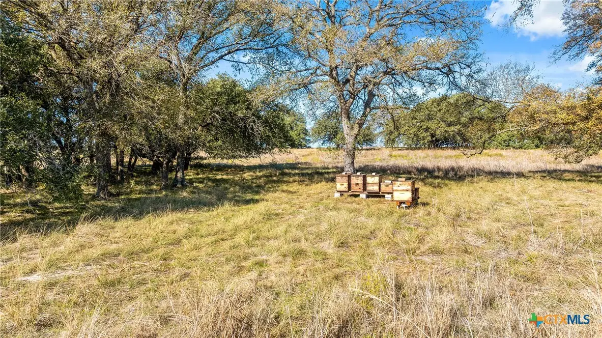 350 Yellowstone Drive, Oglesby, TX 76561 - #1