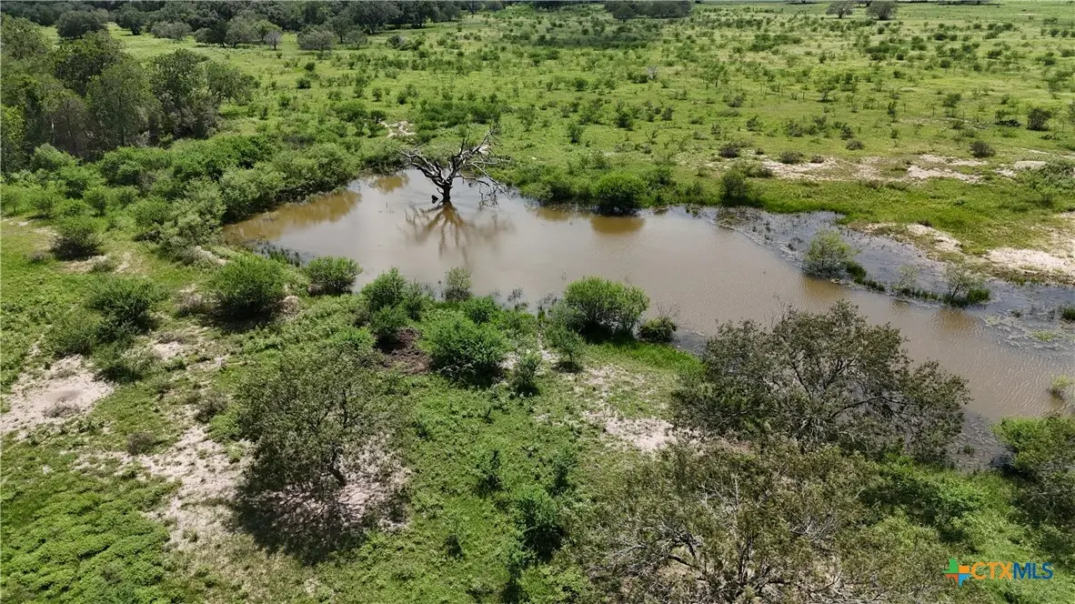 10247 State Highway 111, Yoakum, TX 77995 - #1