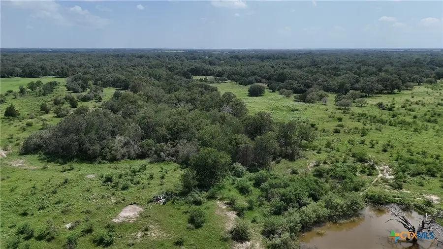 10247 State Highway 111, Yoakum, TX 77995 - #2