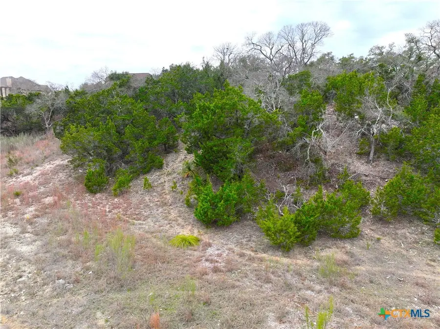 615 Caballo Trail, Canyon Lake, TX 78133 - #3
