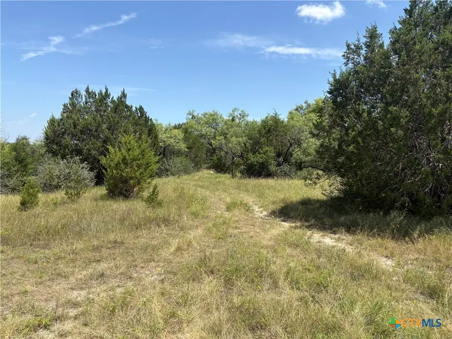 Tract 1 County Road 3421 Road #3423, Lampasas, TX 76550 - #2