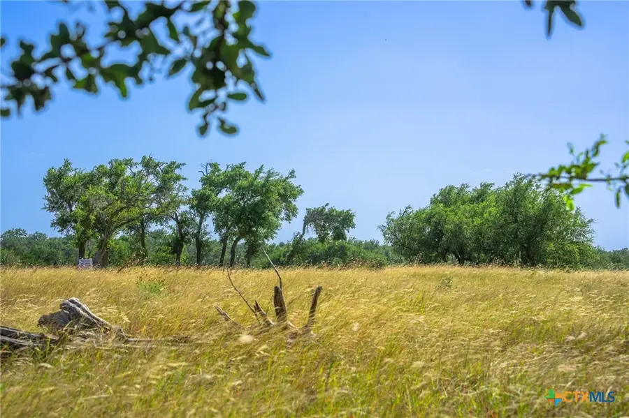 00 Brook Hollow Lane, Mountain Home, TX 78058 - #3
