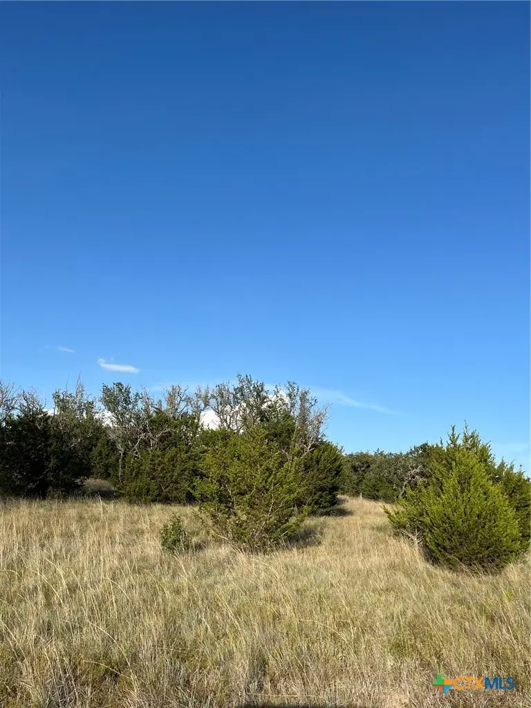 943 Us Highway 183, Goldthwaite, TX 76844 - #2