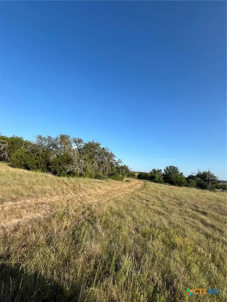 943 Us Highway 183, Goldthwaite, TX 76844 - #3