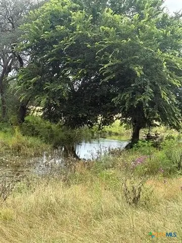 TBD County Road 200, Burnet, TX 78611