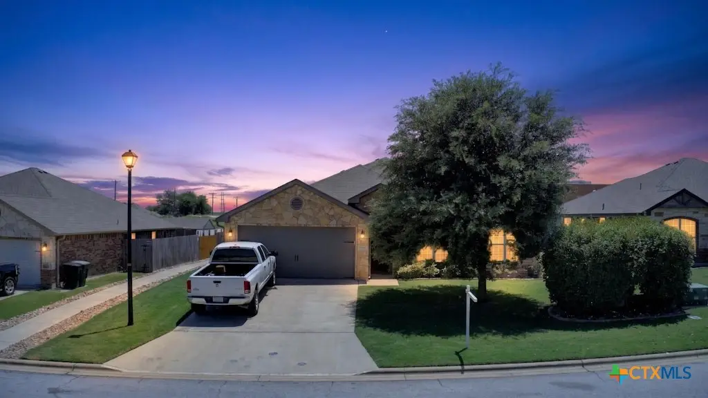 8301 Salt Mill Hollow Drive, Temple, TX 76502 - #1
