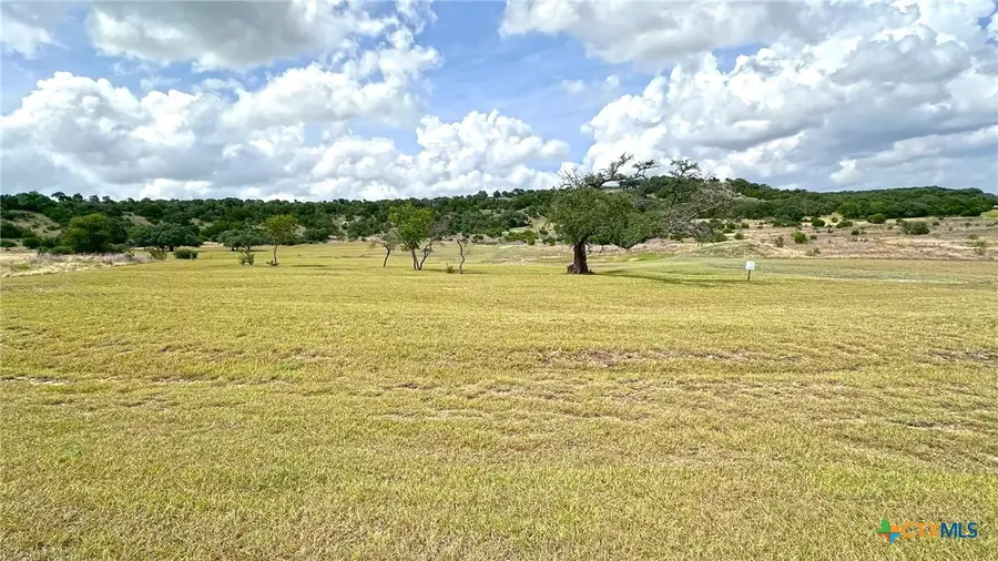1644 Cottonwood Mesa Drive, Kempner, TX 76539 - #3