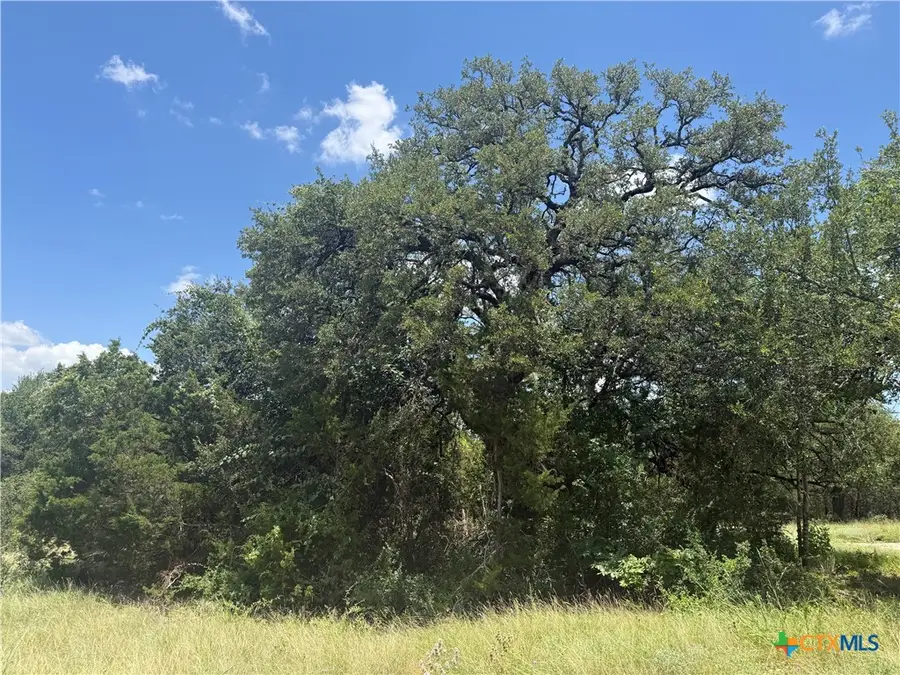 1002 Kenton Parkway, Salado, TX 76571 - #2