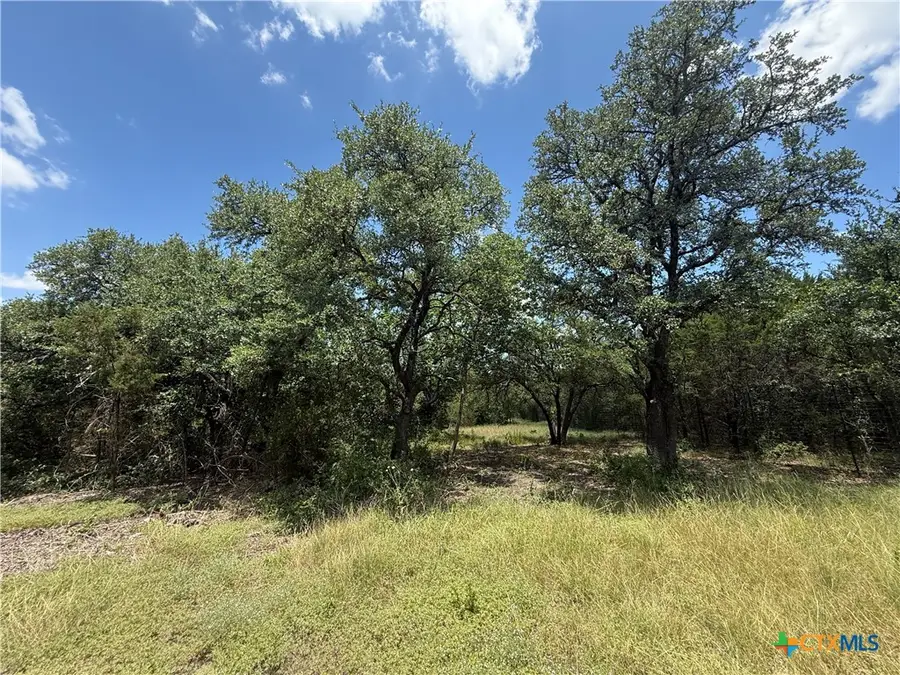 1002 Kenton Parkway, Salado, TX 76571 - #3