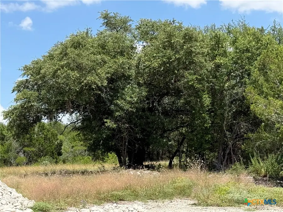 1038 Kenton Parkway, Salado, TX 76571 - #2