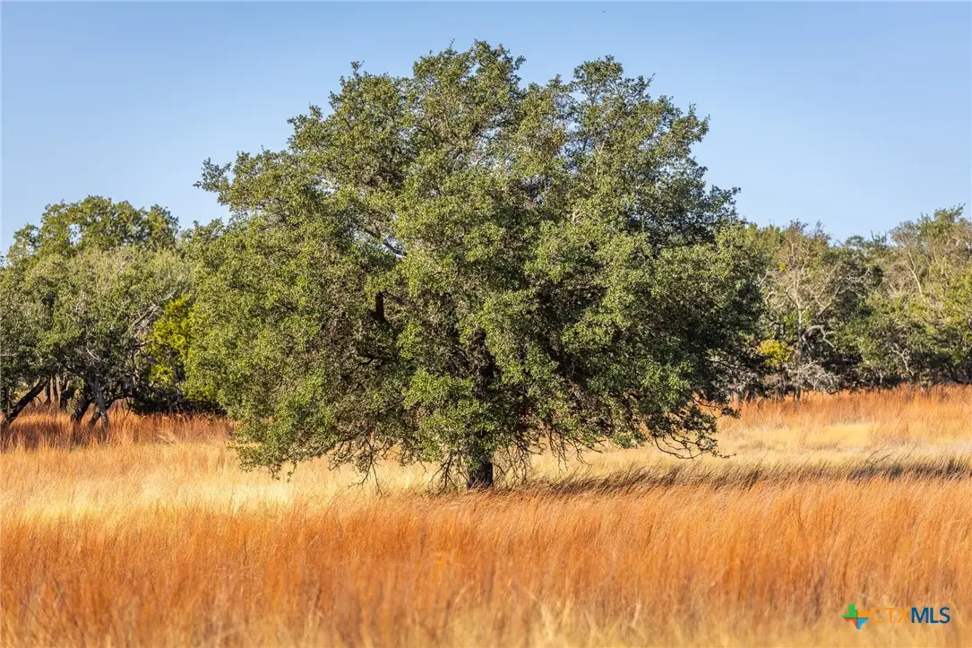 1260 County Road 2001, Lampasas, TX 76550 - #1