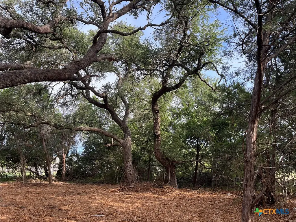 1371 Four Winds Drive, Canyon Lake, TX 78133 - #1