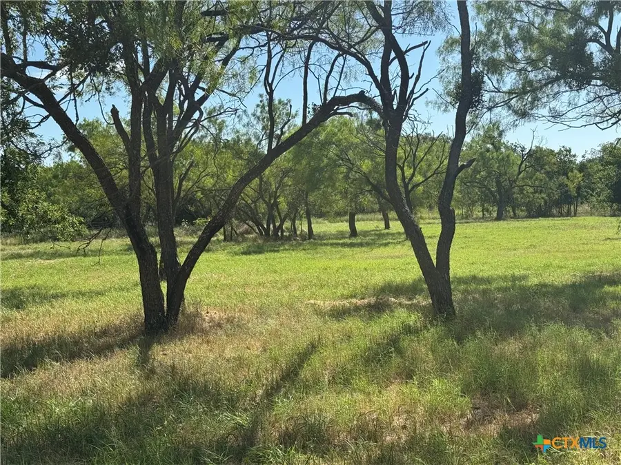 Lot 1 N Sixth Street, Bangs, TX 76823 - #2