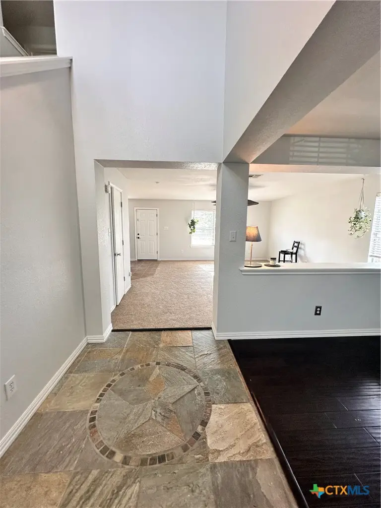 209 Peppergrass Cove, Kyle, TX 78640 - #2