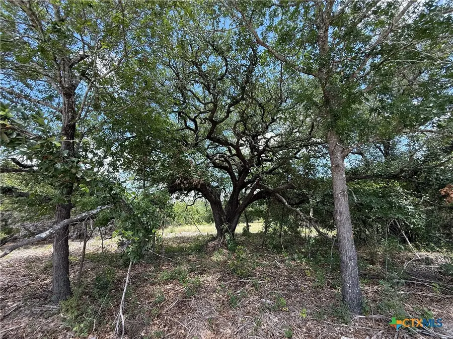 1092 Kenton Parkway, Salado, TX 76571 - #3