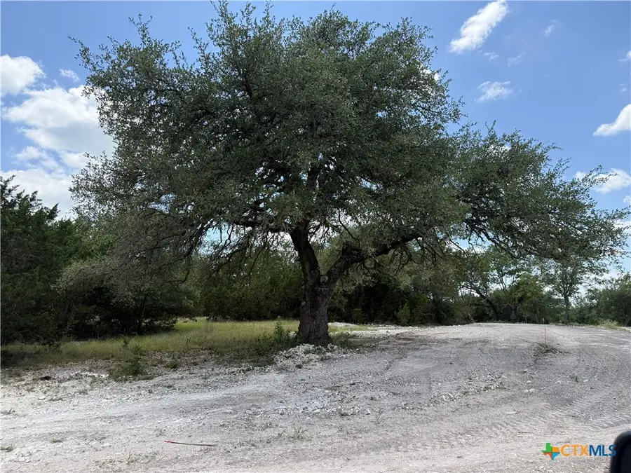 1202 Gannon Trail, Salado, TX 76571 - #2