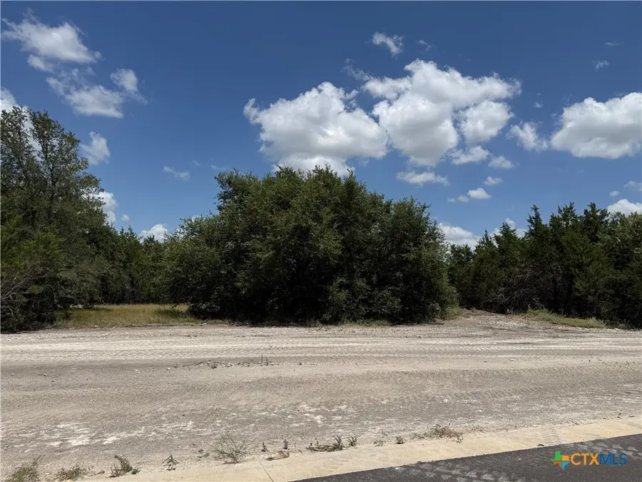 1202 Gannon Trail, Salado, TX 76571 - #3