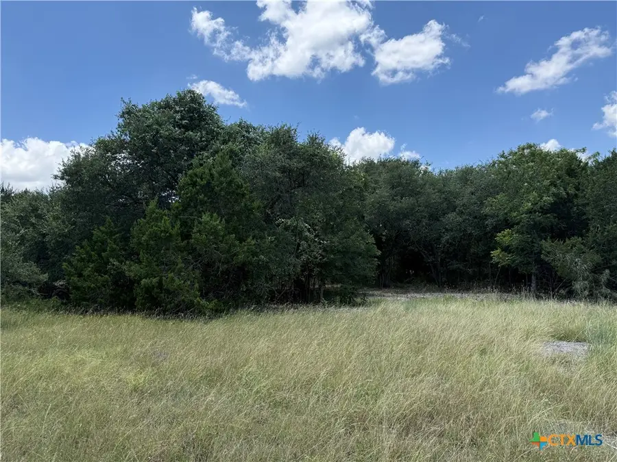 1220 Gannon Trail, Salado, TX 76571 - #3
