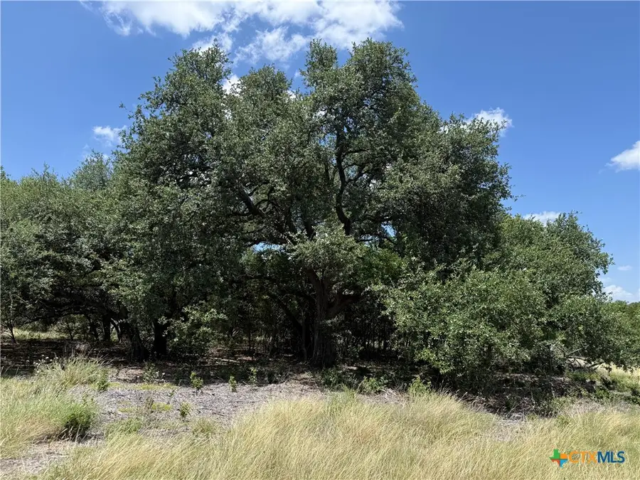 1238 Gannon Trail, Salado, TX 76571 - #2