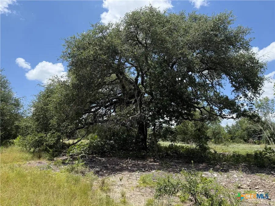 1219 Gannon Trail, Salado, TX 76571 - #2