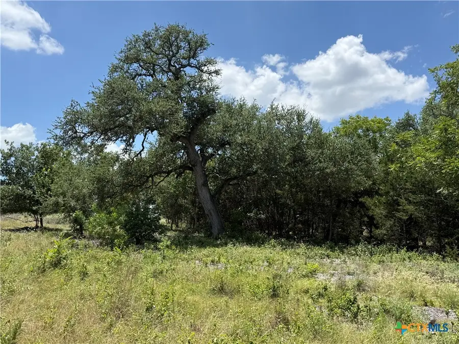 1219 Gannon Trail, Salado, TX 76571 - #3