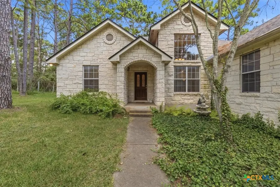 243 Pine View Loop, Bastrop, TX 78602 - #2