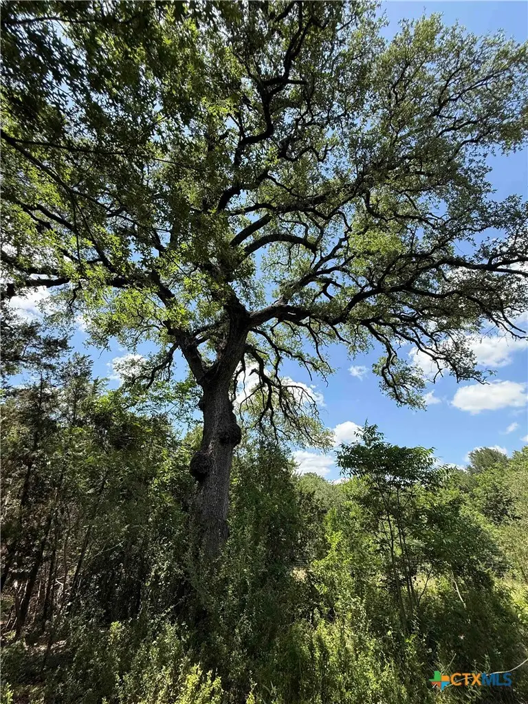 1200 Kenton Parkway, Salado, TX 76571 - #2