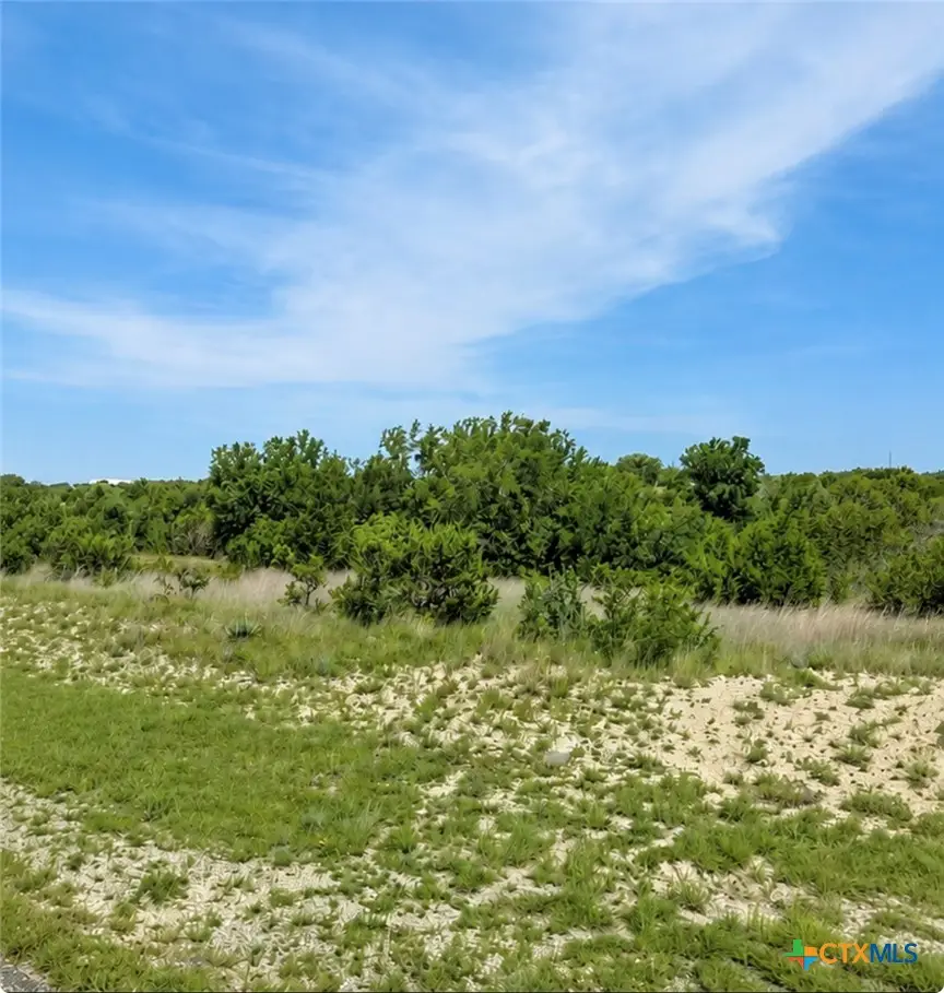 TBD Fm-580, Lampasas, TX 76550 - #2