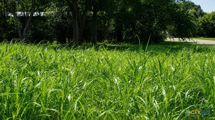 Lot 5 SW Blk 1st Avenue, Waelder, TX 78959 - #2