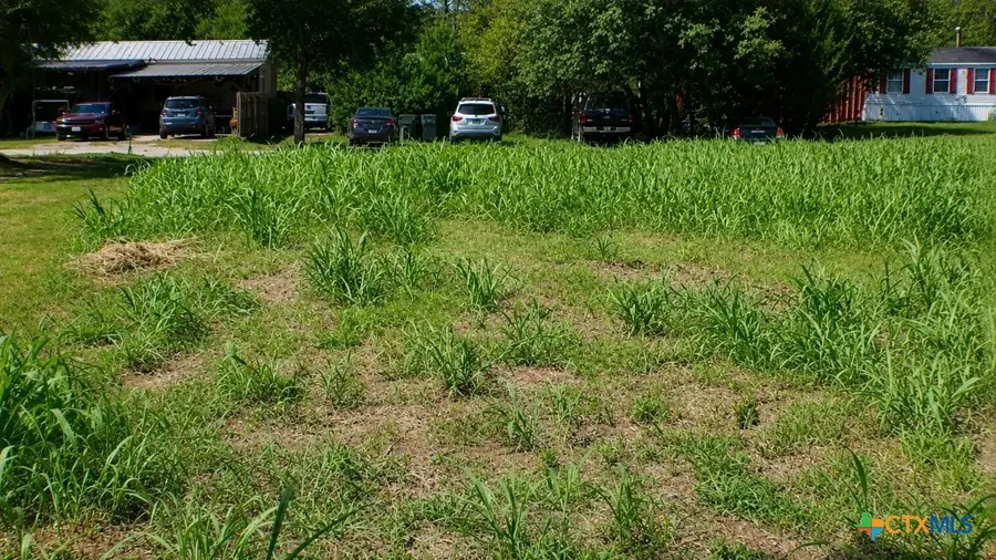 Lot 5 SW Blk 1st Avenue, Waelder, TX 78959 - #3