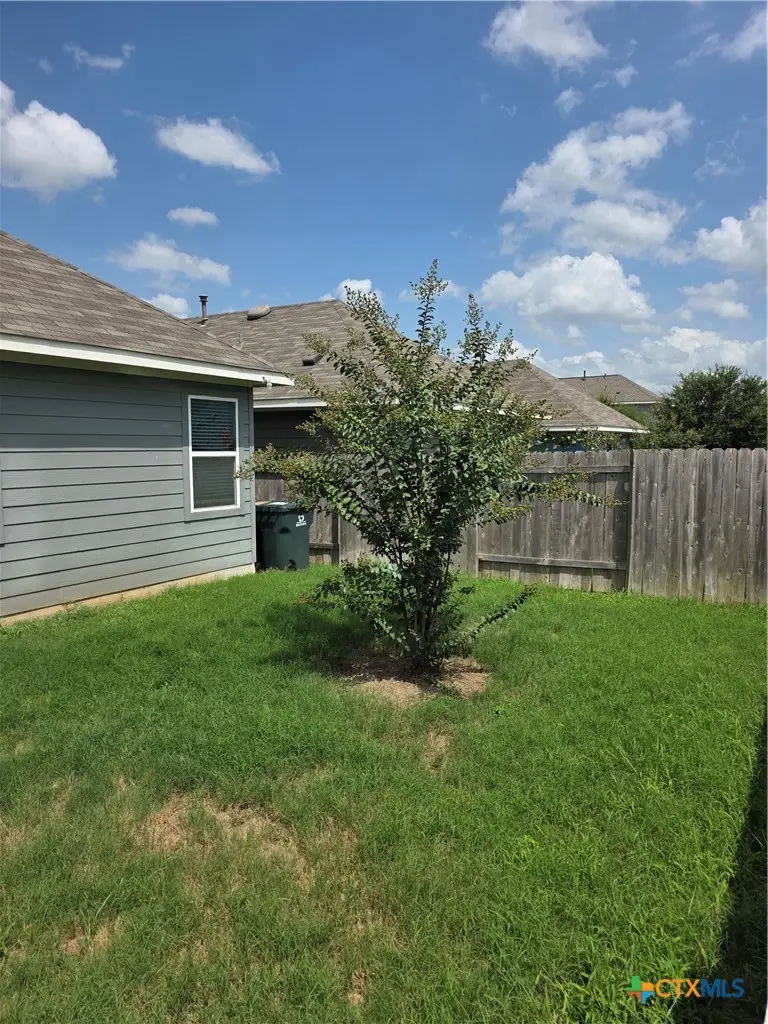 356 Spiny Lizard Lane, San Marcos, TX 78666 - #2