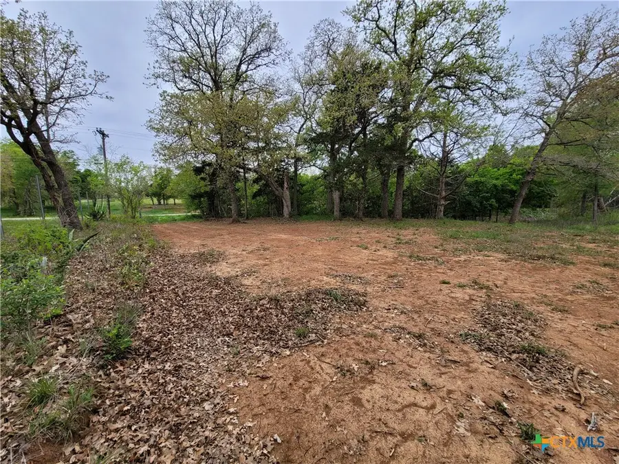 160 Arbor Hill Way, Cedar Creek, TX 78612 - #2
