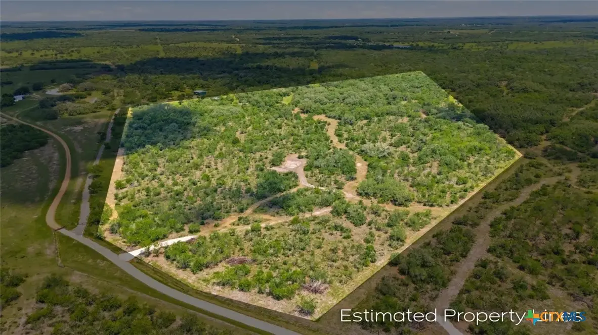 317 Machicek Road, Goliad, TX 77963 - #1