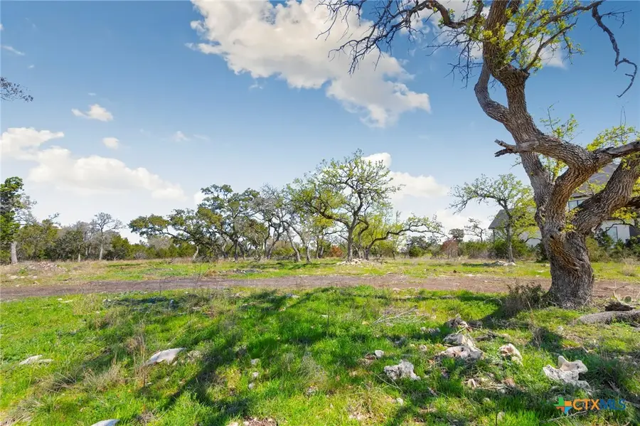 1275 Smoky Loop Road, New Braunfels, TX 78132 - #3
