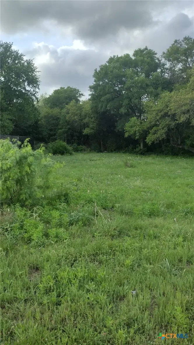 18308 Center Street, Jonestown, TX 78645 - #1