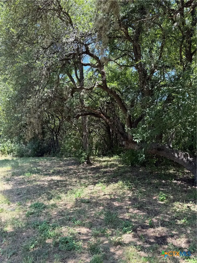 18308 Center Street, Jonestown, TX 78645 - #3