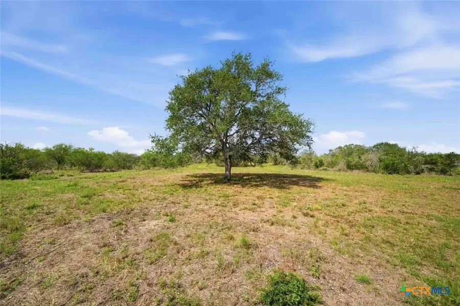 119 Machicek Rd, Goliad, TX 77963 - #3