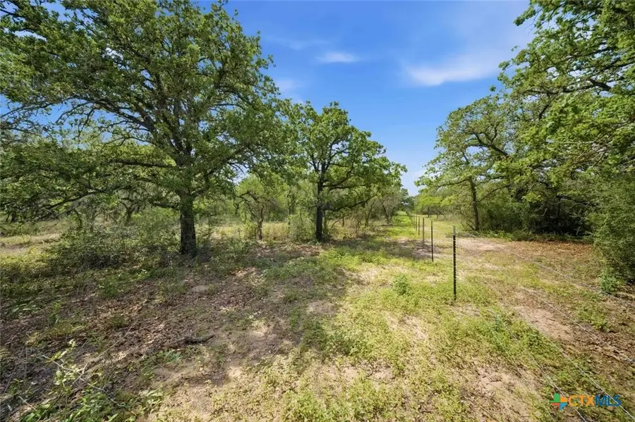 395 Machicek Rd, Goliad, TX 77963 - #3