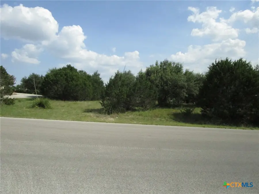 3246 Hawthorne Road, Spring Branch, TX 78070 - #2