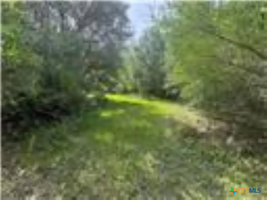 0 Dewberry Lane, Louise, TX 77455 - #2