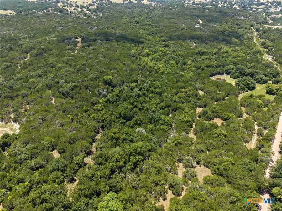 TBD Greenbriar Road, Gatesville, TX 76528 - #2