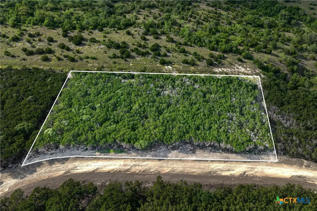 TBD Lot 19 Hank Williams Way, Burnet, TX 78605 - #1