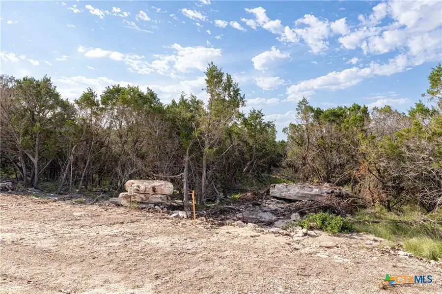 TBD Lot 19 Hank Williams Way, Burnet, TX 78605 - #2