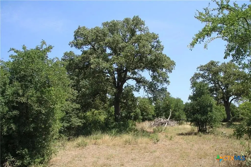 580 Whisper Lane, Georgetown, TX 78628 - #1