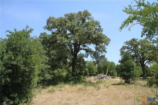 580 Whisper Lane, Georgetown, TX 78628
