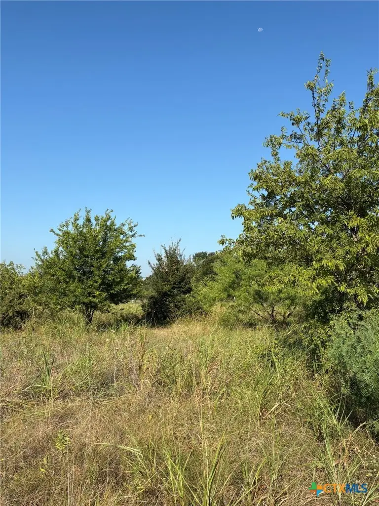 TBD Lamotte Drive, Troy, TX 76579 - #3