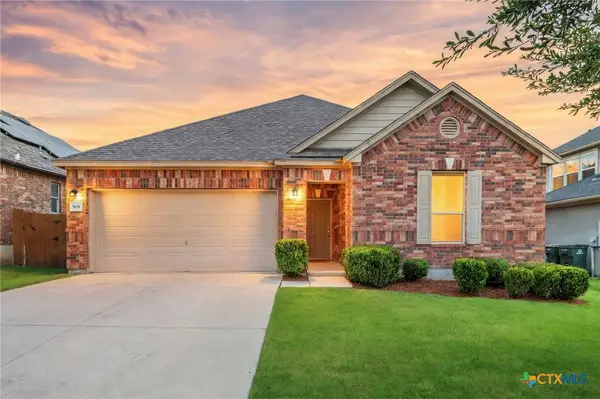 509 Sheepshank Drive, Georgetown, TX 78633