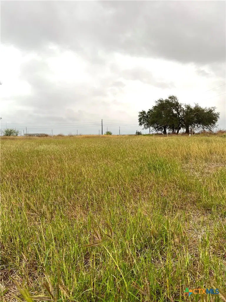 680 Squirrel Creek Road, Dhanis, TX 78850 - #1