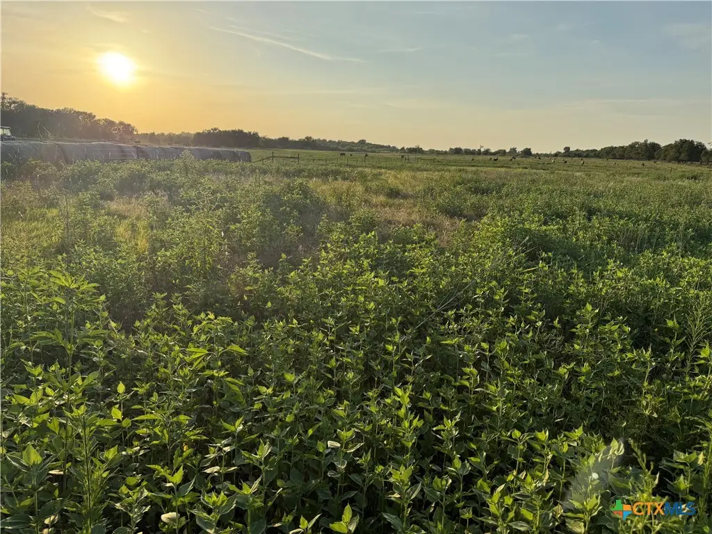153 County Road 243, Kosse, TX 76653 - #1